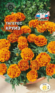 Тагетес Круиз купить
