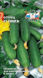 Огурец Гинга F1 купить