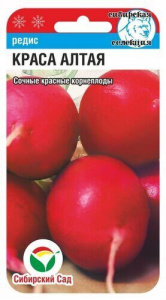 Редис Краса Алтая  купить