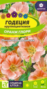 Годеция Оранж Глори  купить