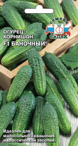 Огурец Баночный купить