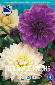 Смесь георгин Blue Boy & Paloma /2шт купить