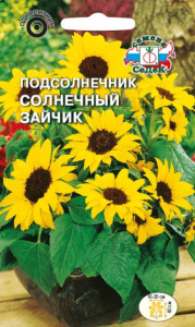Подсолнечник Солнечный зайчик низкорослый купить