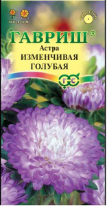 Астра Изменчивая Голубая  купить