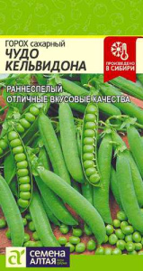 Горох Чудо Кельвидона  купить
