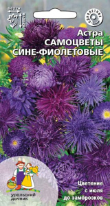 Астра Самоцветы сине-фиолетовые купить