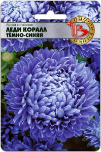 Астра Леди Коралл Дак Блю купить