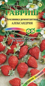 Земляника Александрия купить