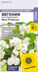 Бегония Фея F1 Белая вечноцветущая купить