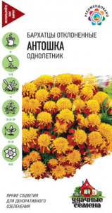 Бархатцы Антошка (Тагетес) Уд. с. купить