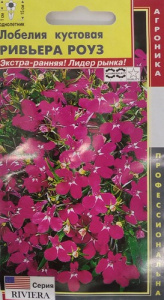 Лобелия кустовая Ривьера Роуз  купить