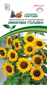Подсолнечник Амалфи Голден F1 купить