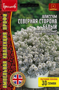 Алиссум Северная Сторона Белый ампельный  купить