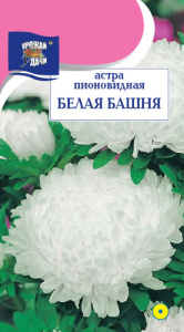 Астра Башня Белая пионовидная купить