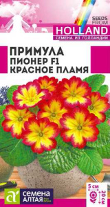 Примула Пионер Красное пламя двулетник  купить