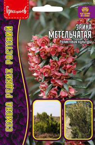 Эрика Метельчатая  купить