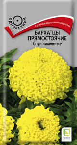Бархатцы Спун Лимонные прямостоячие купить