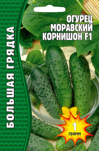 Огурец Моравский Корнишон F1 купить