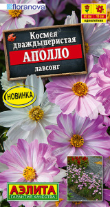 Космея Аполло лавсонг Floranova купить