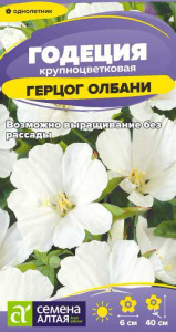 Годеция Герцог Олбани купить