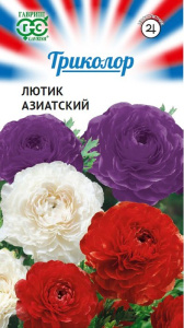 Лютик (Ранункулюс) смесь серия Триколор купить