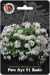 Пеларгония  плющелистная ампельная Рич Аут F1 Вайт  купить