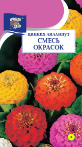 Цинния Лиллипут смесь  купить