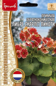 Примула Либре Скарлет Пикоти обратноконическая  купить