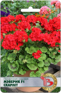Пеларгония зональная Мэверик F1 Скарлет купить