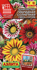 Гацания Солнечная, смесь сортов купить