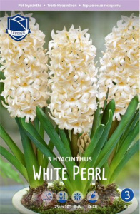 Гиацинт Уайт Перл /3шт купить