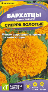 Бархатцы Сиерра Золотые купить