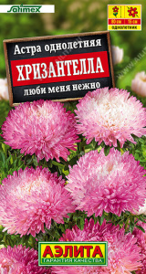 Астра Хризантелла люби меня нежно Satimex купить