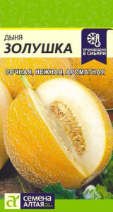 Дыня Золушка 1г купить