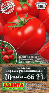 Томат Прима-66 F1 купить