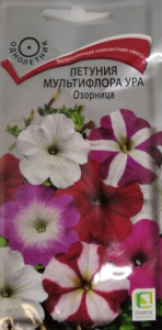 Петуния мультифлора Ура Озорница купить