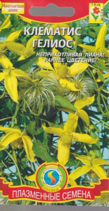 Клематис Гелиос  купить
