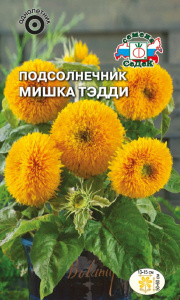 Подсолнечник Мишка Тэдди махровый низкорослый купить