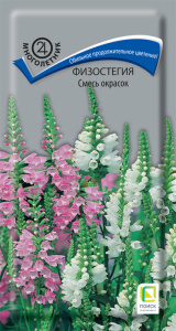 Физостегия Смесь окрасок купить