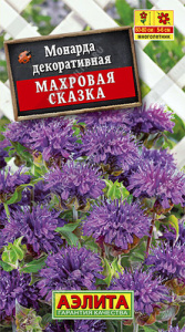 Монарда Махровая сказка  купить