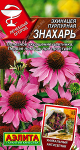 Эхинацея пурпурная Знахарь  купить