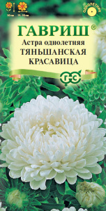 Астра Тяньшанская красавица  купить