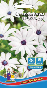 Остеоспермум Прохлада купить