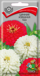 Цинния Пани изящная купить