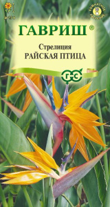 Стрелиция Райская Птица  купить