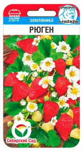 Земляника Рюген купить