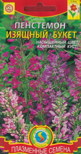 Пенстемон Изящный букет  купить