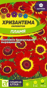 Хризантема Пламя килеватая  купить