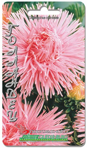 Астра Валькирия Голландец 70 шт купить