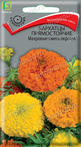 Бархатцы Махровые смесь окрасок прямостоячие купить